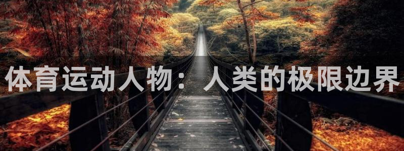 千亿国际官方正版app神州