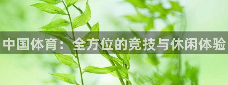 千亿国际官方正版app娱乐首页网站大全：中国体育：全