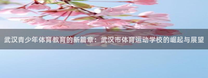 千亿国际官网下载是干嘛的公司：武汉青少年体育教育的新