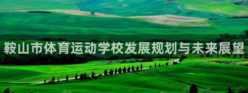 千亿国际官方正版app五金厂：鞍山市体育运动学校发展