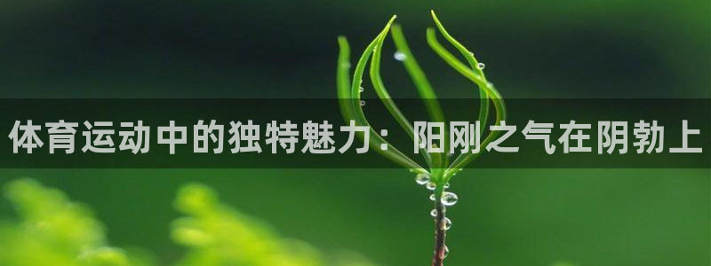 千亿国际官网下载平台是正规平台吗安全吗：体育运动中的