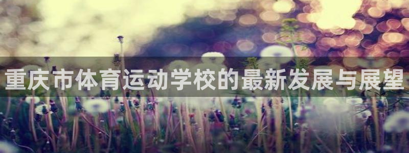 千亿国际官网下载招商电话号码是多少啊：重庆市体育运动