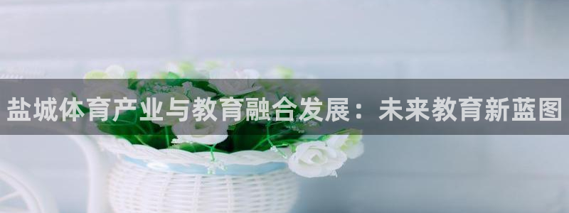 千亿国际官网下载招商电话号码是多少：盐城体育产业与教