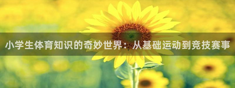 千亿国际官网下载平台是正规平台吗安全吗：小学生体育知