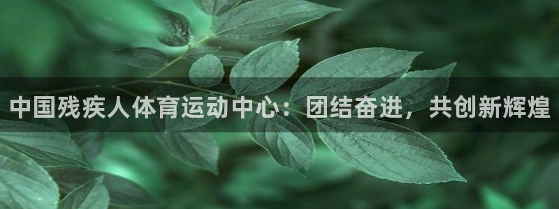 海南千亿国际官网下载：中国残疾人体育运动中心：团结奋