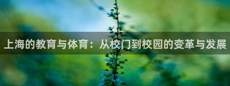 千亿国际官网下载招商电话号码是多少啊：上海的教育与体