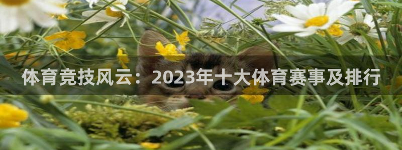 千亿国际官方正版app集团官网首页网址：体育竞技风云