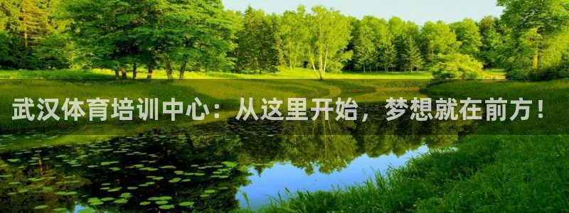 千亿国际官方正版app集团E.ON：武汉体育培训中心：从这里
